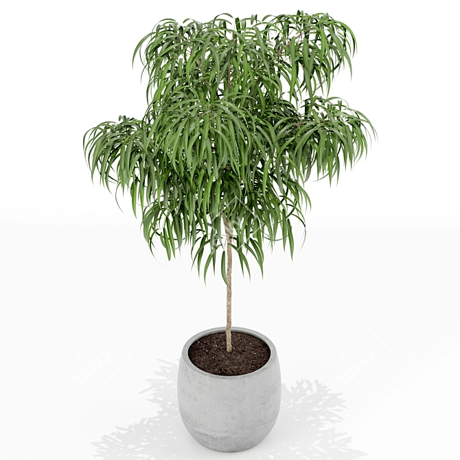 Exquisite Plants Collection 155 3D model image 2