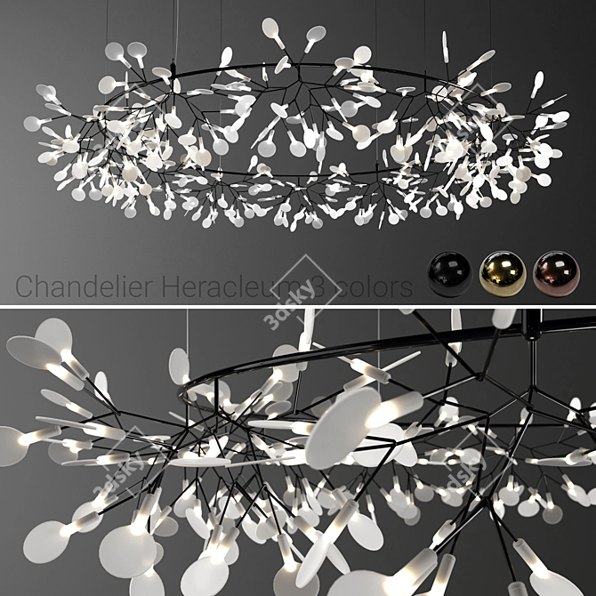 Moooi Heracleum Big O Pendant 3D model image 1