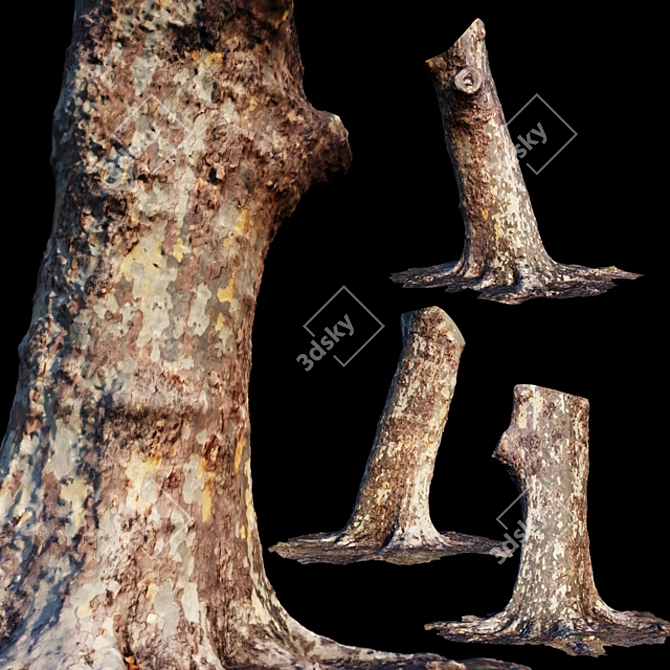 Natural Eucalyptus Trunk: Perfect for Exterior Scenes! 3D model image 1