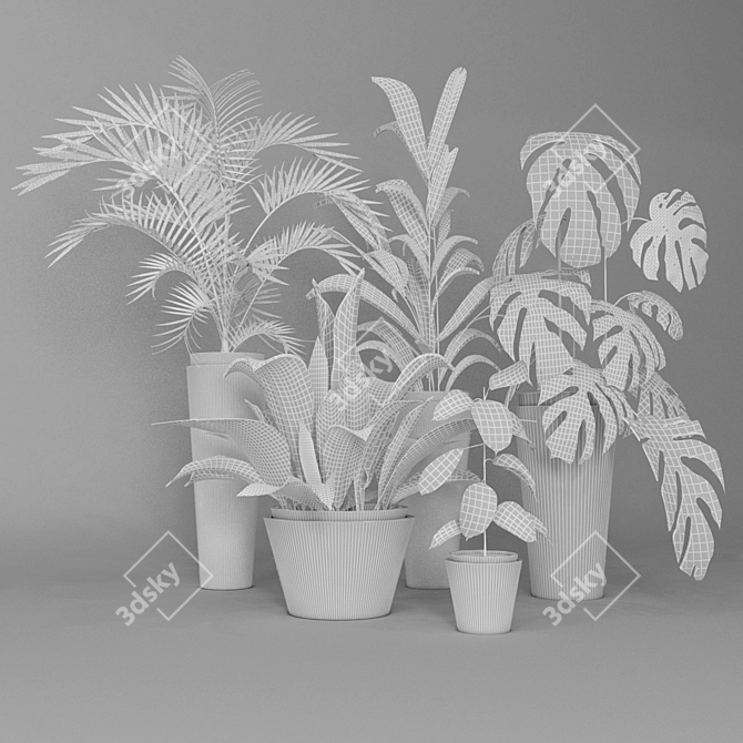 Exotic Houseplant Collection 3D model image 3