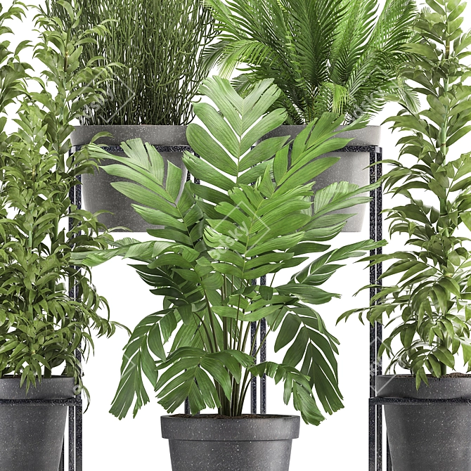 Exotic Indoor Plant Collection 3D model image 2