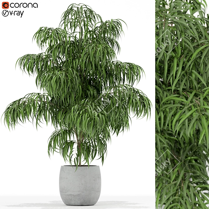 Lush Greenery Collection: 156 Varieties 3D model image 1