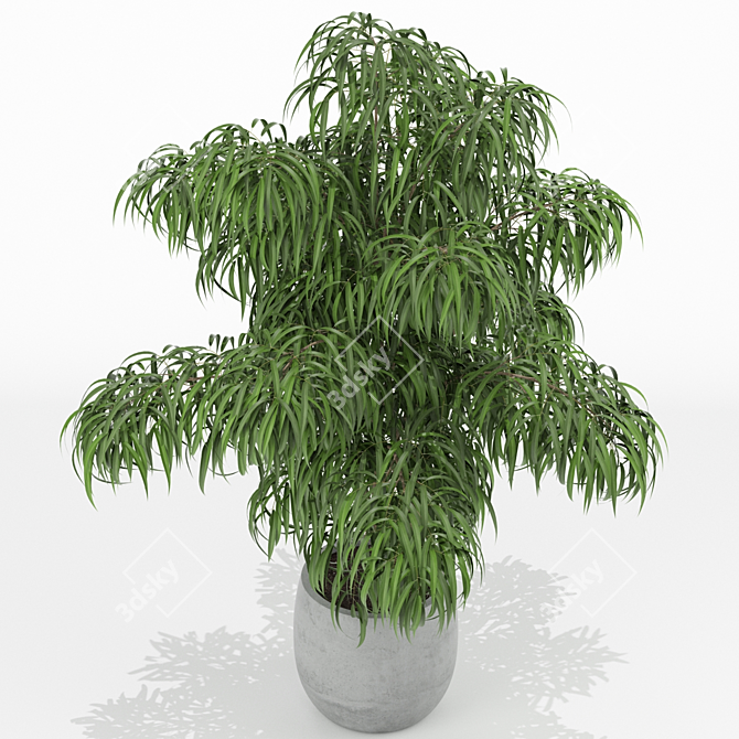 Lush Greenery Collection: 156 Varieties 3D model image 2