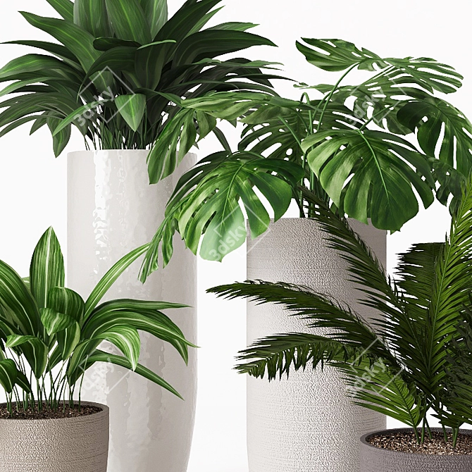 Tropical Indoor Plant Collection 3D model image 2