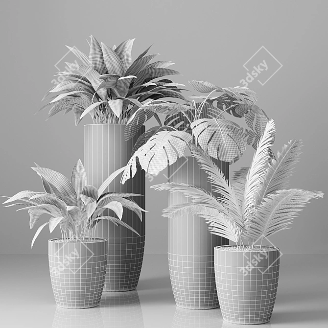 Tropical Indoor Plant Collection 3D model image 3