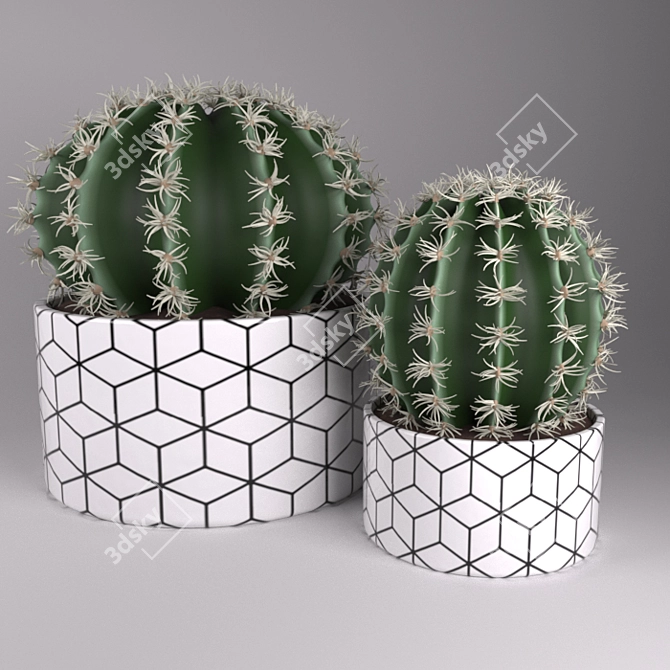 Title: Modern Potted Cactus 3D model image 1