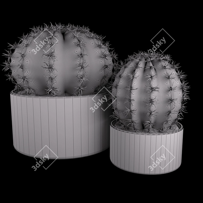 Title: Modern Potted Cactus 3D model image 2