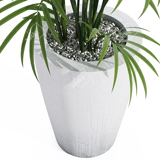 Botanical Bliss: Indoor Houseplant 3D model image 2