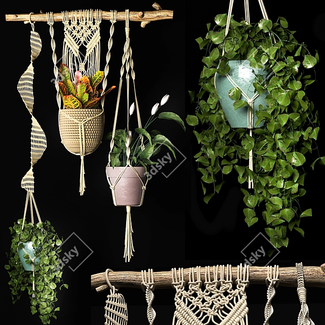 Adorned Hanging Pot Set 3D model image 1