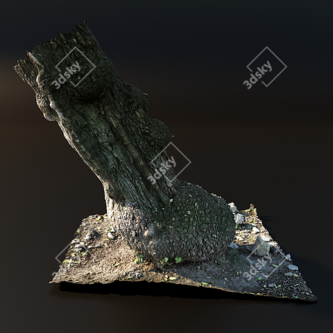 Realistic Tree Trunk Model 3D model image 2