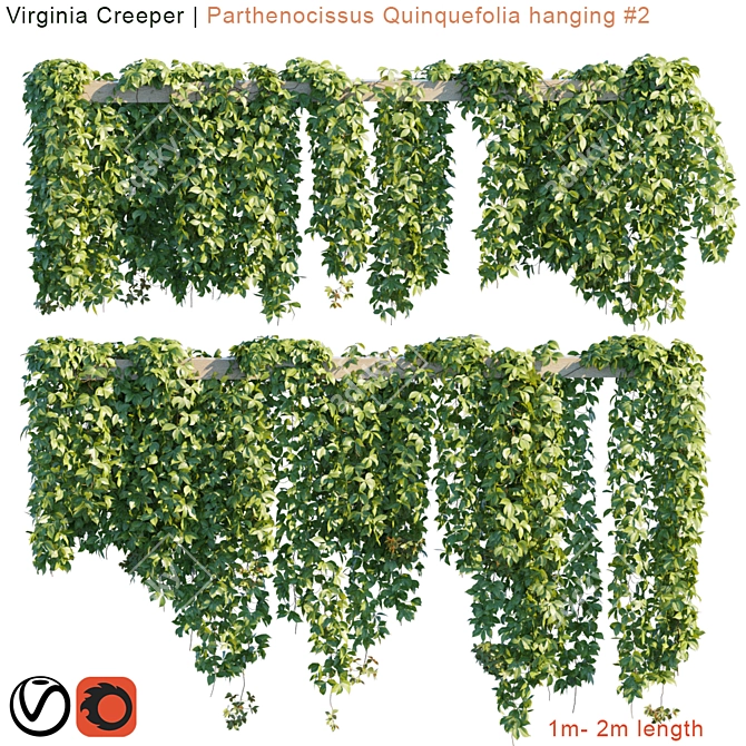 Vibrant Virginia Creeper: Hanging Module 3D model image 1