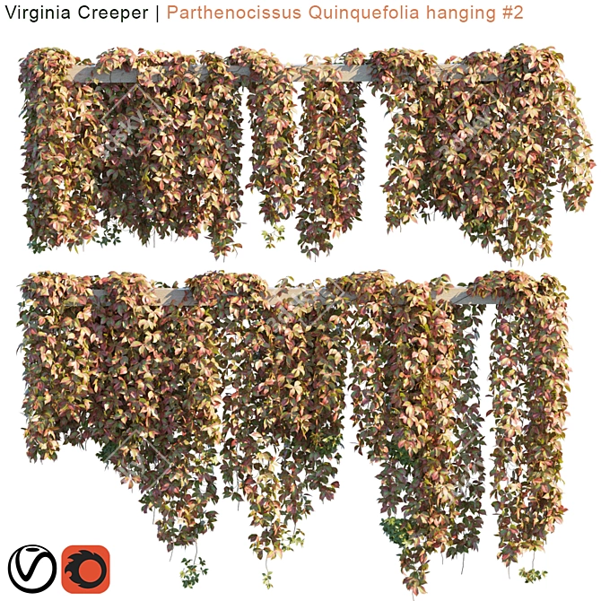 Vibrant Virginia Creeper: Hanging Module 3D model image 2