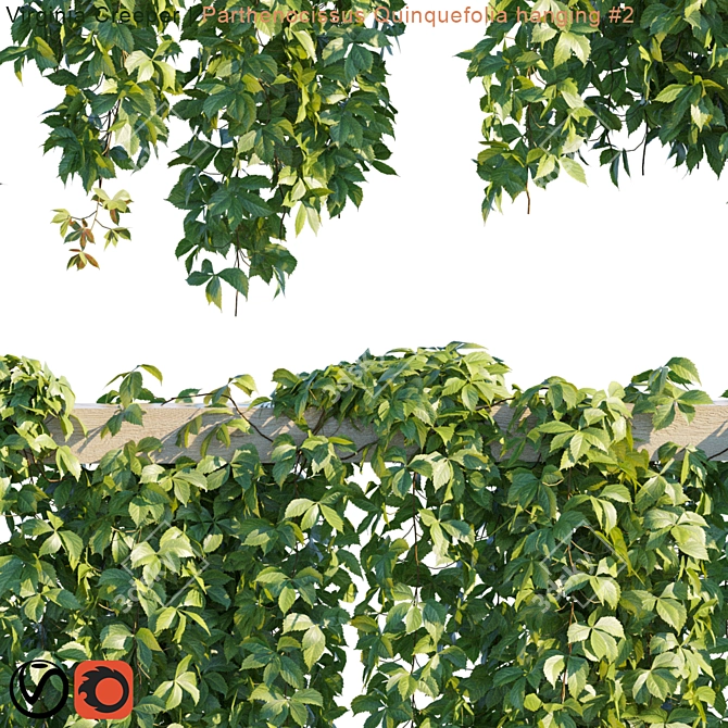 Vibrant Virginia Creeper: Hanging Module 3D model image 3