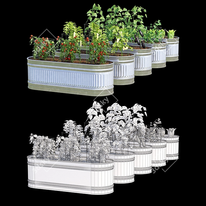 Title: Versatile Vegetable Garden Set 3D model image 2