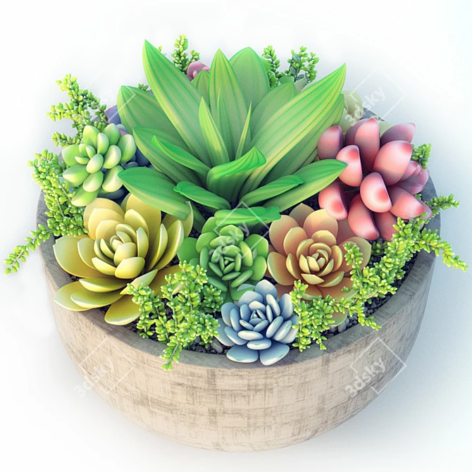 Sleek Succulent Plant Pot 3D model image 1