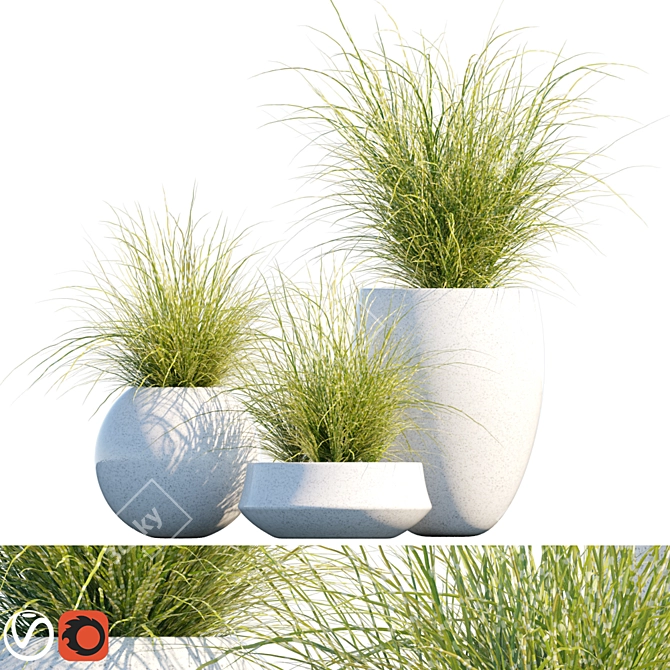 Mood Miscanthus: Potted Elegance 3D model image 1