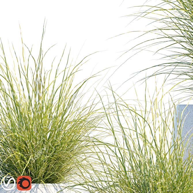 Mood Miscanthus: Potted Elegance 3D model image 2