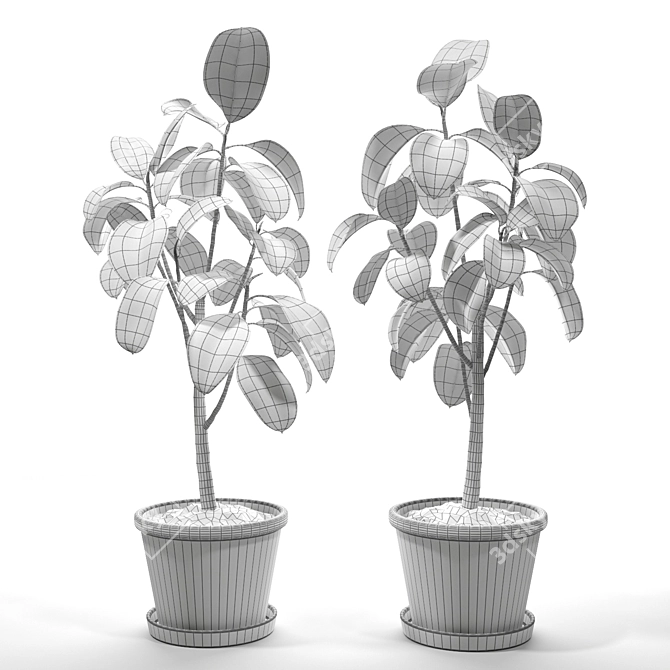 Flexible Ficus Set - Turbosmooth 3D model image 2