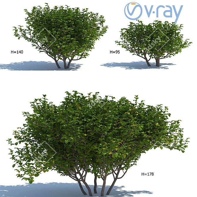 Versatile Exterior Bushes: 3 Models 3D model image 1