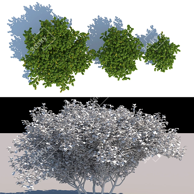 Versatile Exterior Bushes: 3 Models 3D model image 2