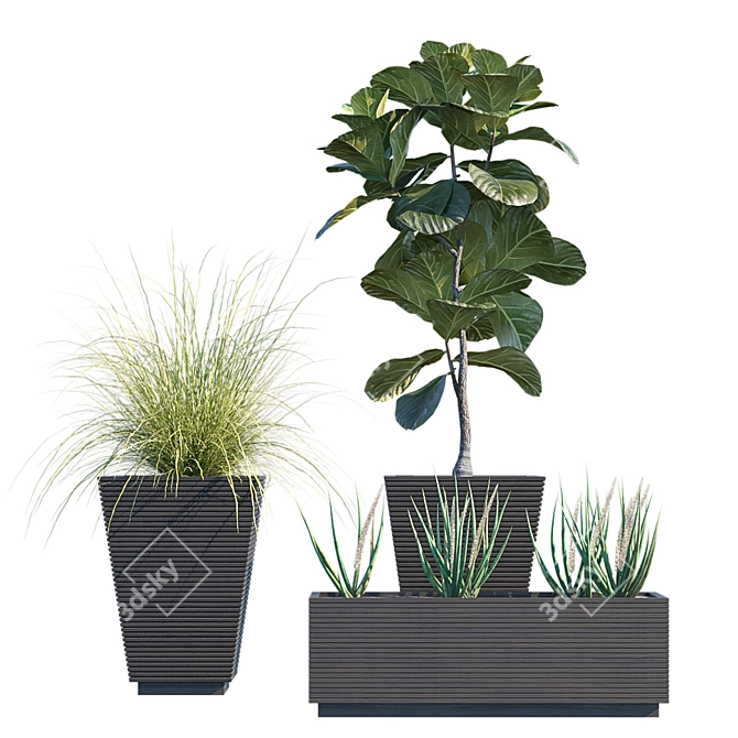 Modern Hallway Plant in Pot 3D model image 1