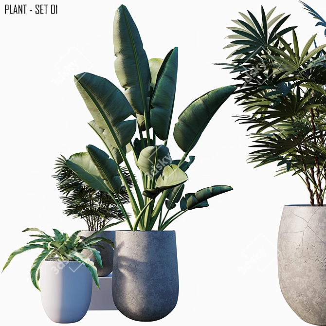 Lush Greenery: 3-Piece Plant Set 3D model image 1