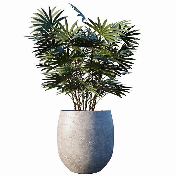 Lush Greenery: 3-Piece Plant Set 3D model image 2