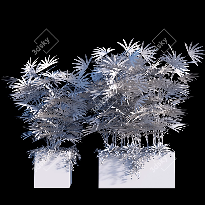 Stunning Plant Set for Vray + Corona 3D model image 2