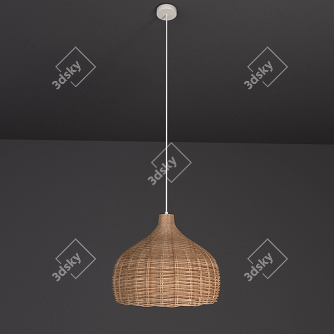 HAWAI Wooden Pendant Light 3D model image 1