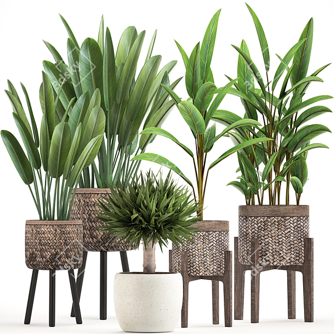 Exquisite Indoor Plant Collection 3D model image 1