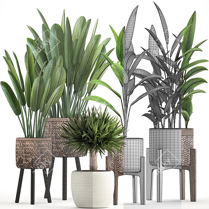 Exquisite Indoor Plant Collection 3D model image 3