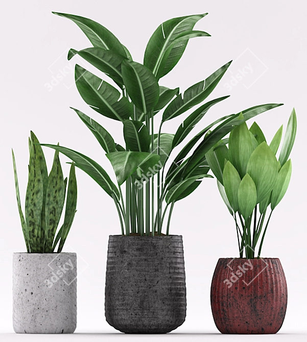 Colorful Indoor Plants Set 3D model image 2