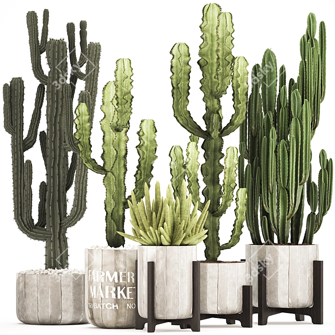 Exotic Cacti & Plants Collection 3D model image 1