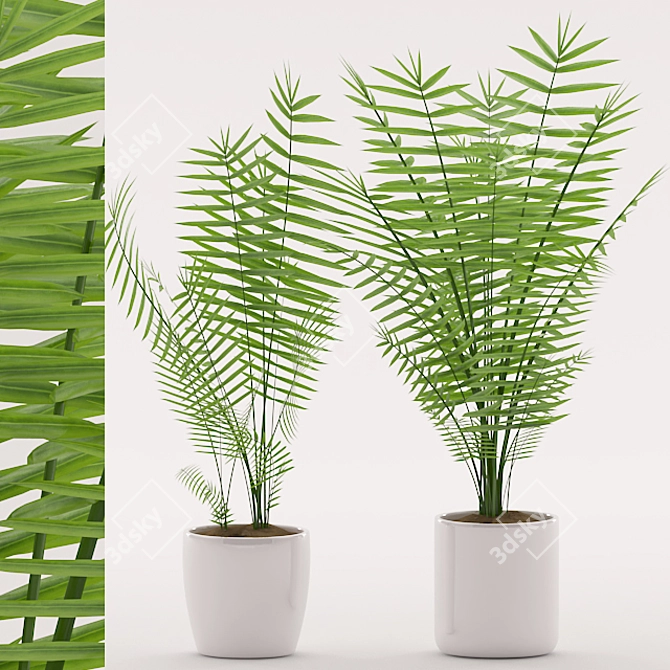 Tropical Palm Plant in Ceramic Pot 3D model image 1