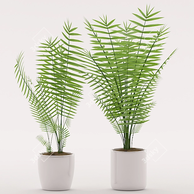 Tropical Palm Plant in Ceramic Pot 3D model image 2