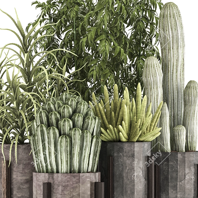 Exotic Plant Collection 3D model image 2