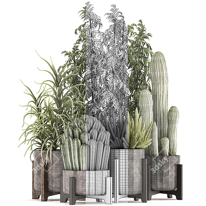 Exotic Plant Collection 3D model image 3