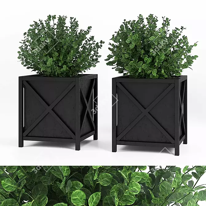 Outdoor Plant Set in Pots: 2 Varieties 3D model image 1