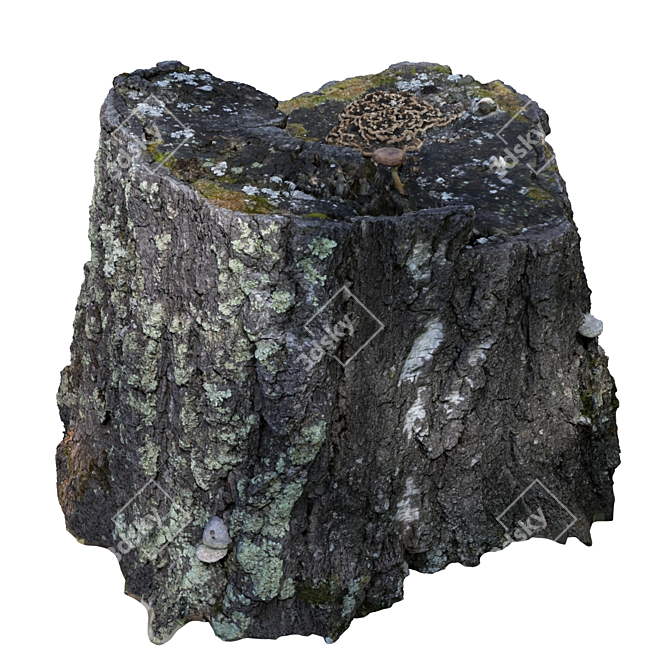 Title: Realistic Forest Stump Sculpture 3D model image 1