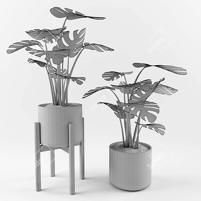 Lively Monstera: Perfect Decor 3D model image 2