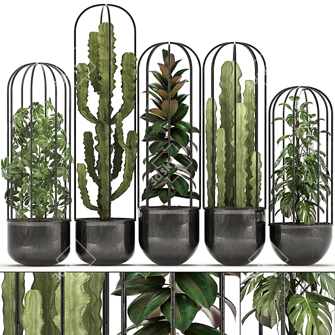 Exotic Indoor Plant Collection 3D model image 1