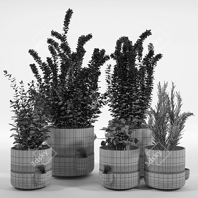 Oasis Terracotta Flower Pot 3D model image 3