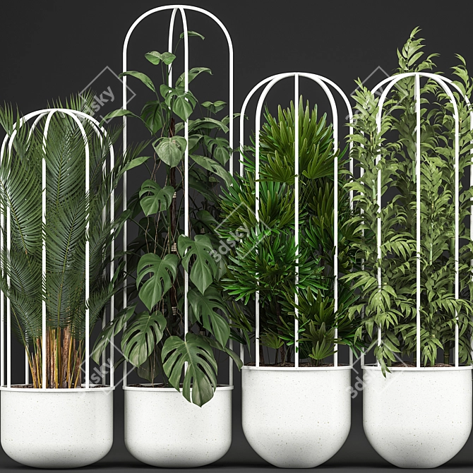 Exotic Indoor Plant Collection 3D model image 2