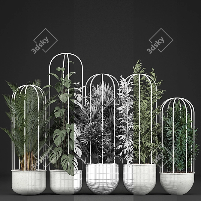 Exotic Indoor Plant Collection 3D model image 3