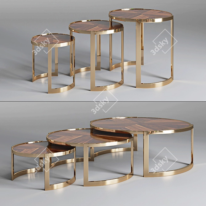 Anya Fendi Casa Coffee Table - Elegant Design, Various Sizes 3D model image 1