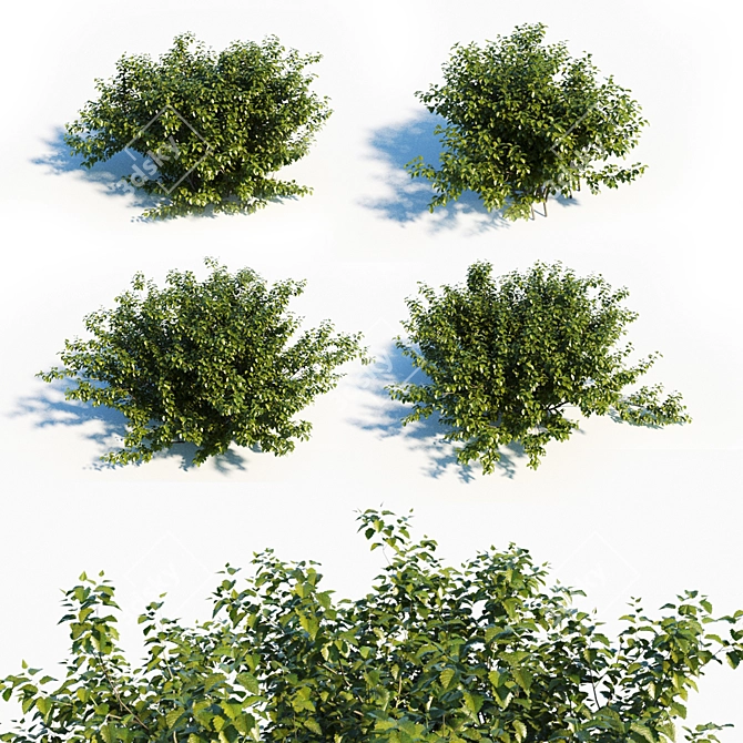 Lush Greenscape Set: 4 Vibrant Shrubs 3D model image 1