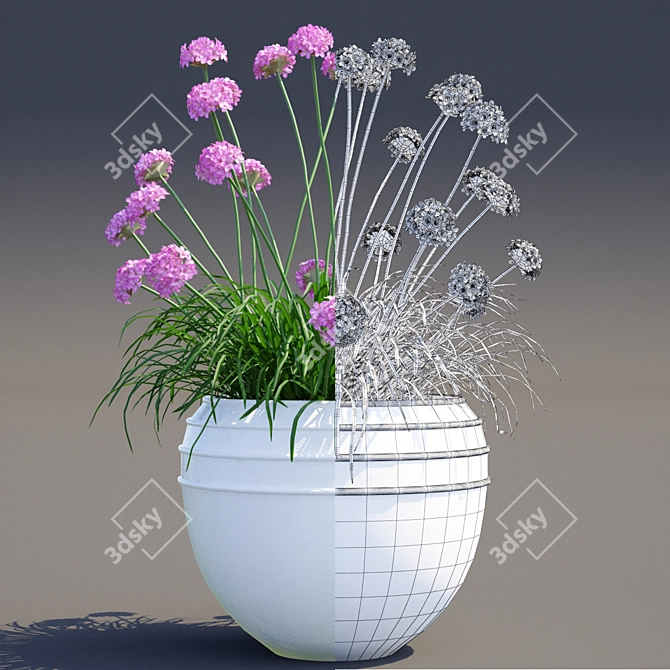 Coastal Beauty in a Pot | Primorsky Armeria 3D model image 2