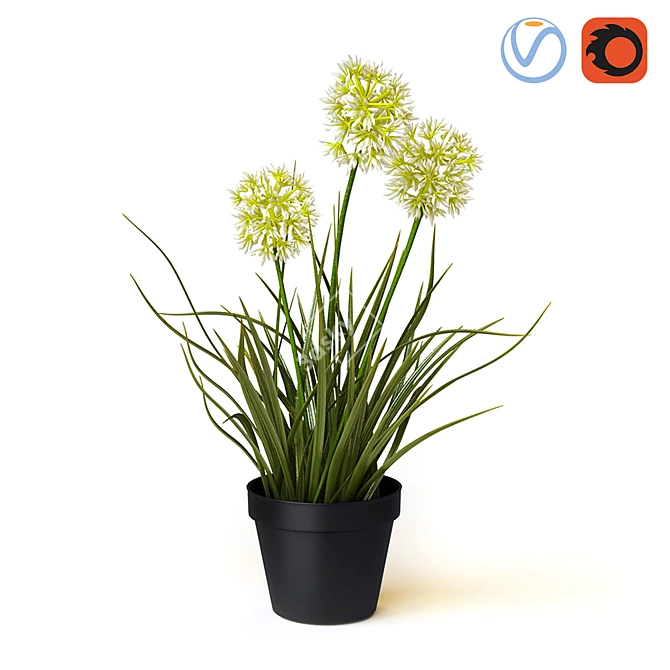 Realistic Artificial White Onion 3D model image 1