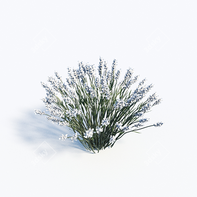 Elegant Lavender Trio: 40cm, 50cm, 60cm 3D model image 3