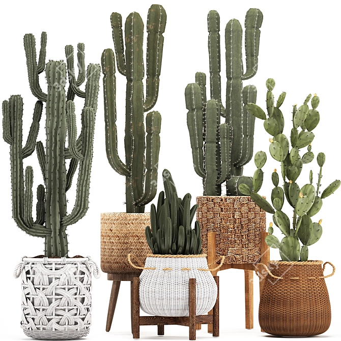 Exotic Houseplant Collection: Cacti & Prickly Pear 3D model image 1
